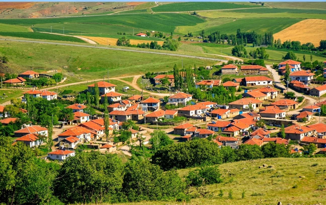 Ormanlık-Uzak Çekim